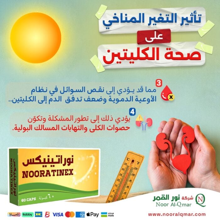 IMG-20240609-WA0003 أقراص حماية الكلى