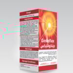 جينكوفليكس لتحسين الدورة الدموية (30 قرص) GINKOFLEX